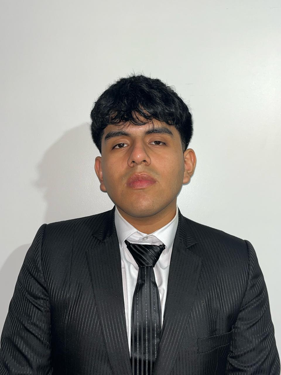 Amner Llamo